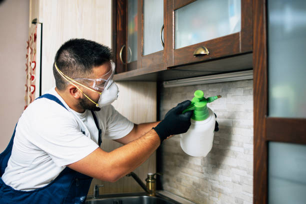 Pest Control for Restaurants in Four Square Mile, CO