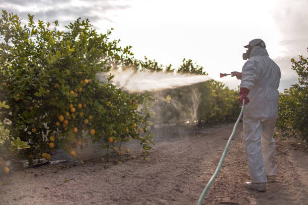 Best Wildlife Control Services  in Four Square Mile, CO